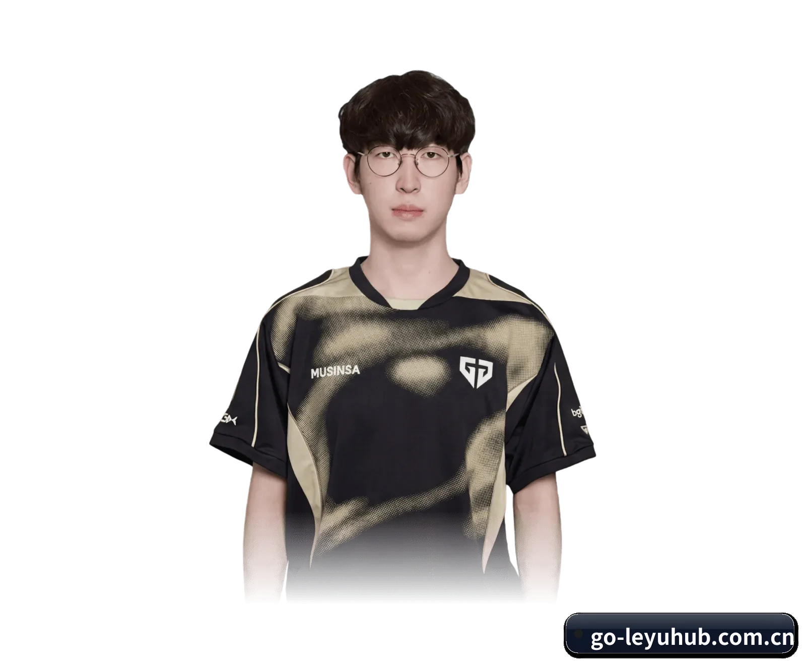 乐鱼网页版 APP（LEYU SPORTS）